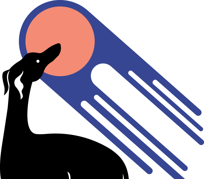 What is AstroAnimal illustration